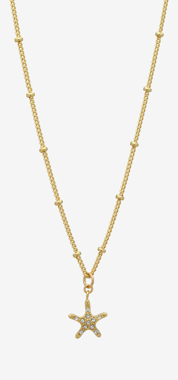 Shelly Gold Necklace