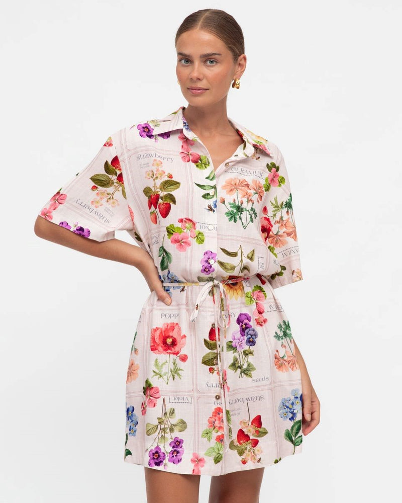 Frances Shirt Dress