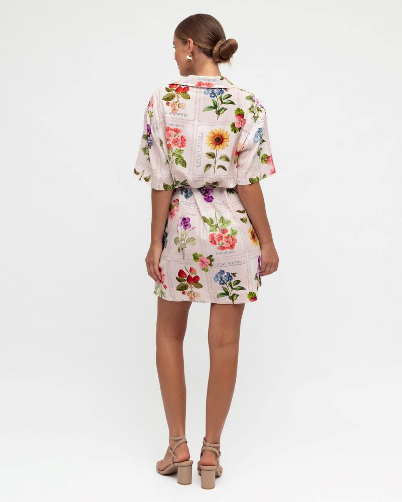 Frances Shirt Dress